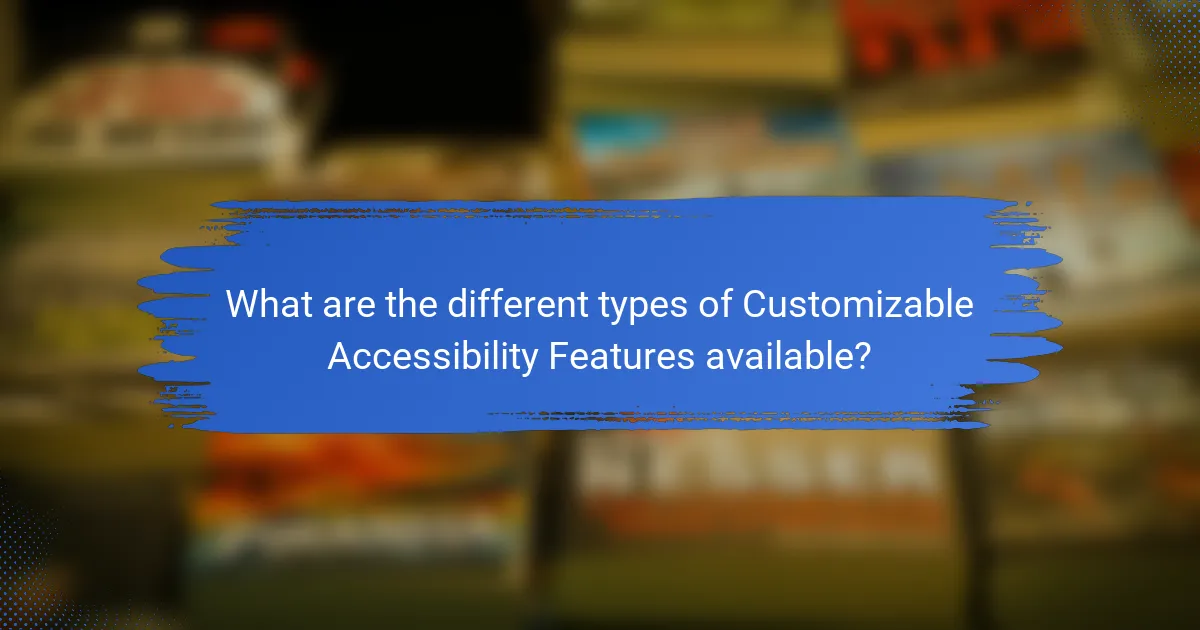 What are the different types of Customizable Accessibility Features available?